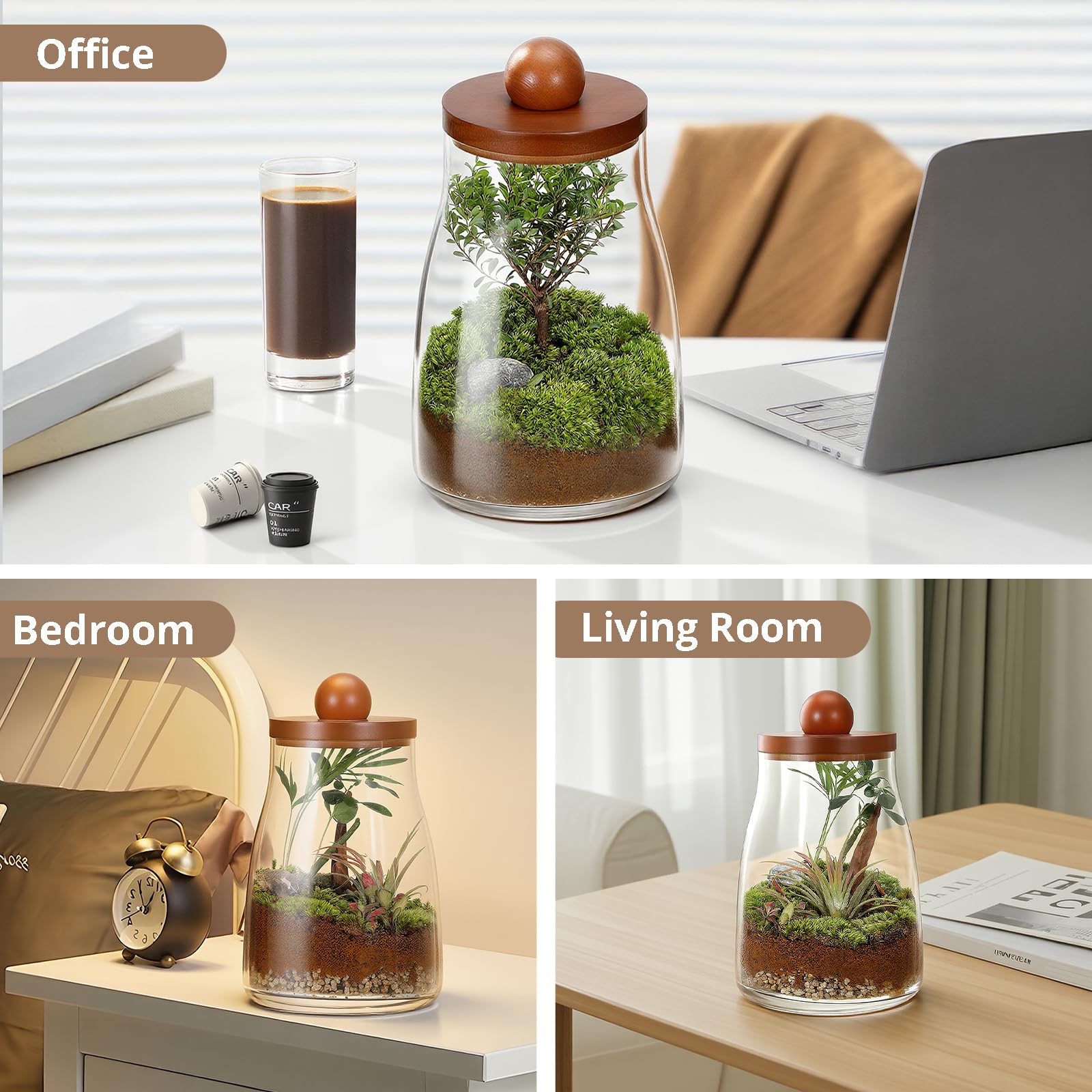 Lumboarbo styled on a home office desk as a decorative live-plant display