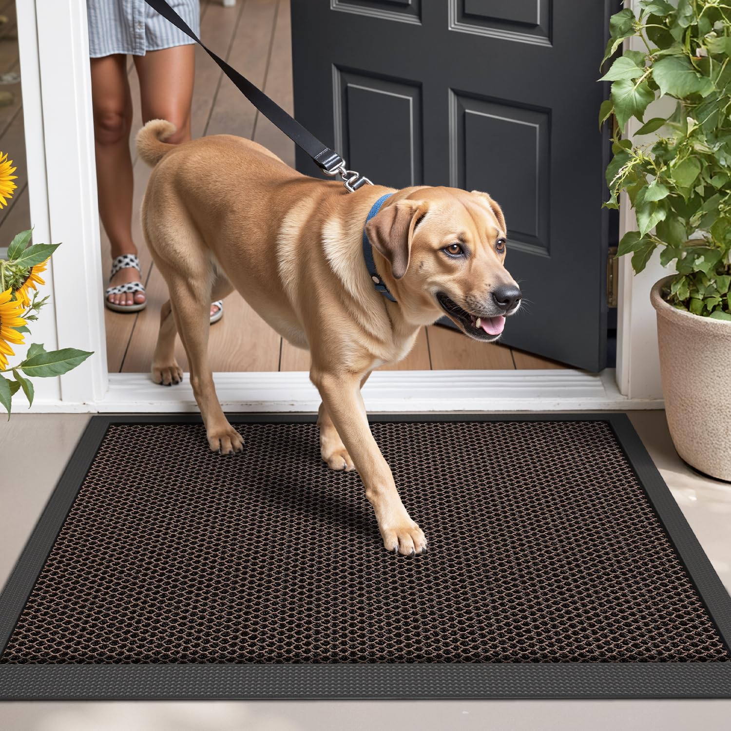 LUMI next to shoes for scale showing 23.5 by 35.5 inch coverage benefit