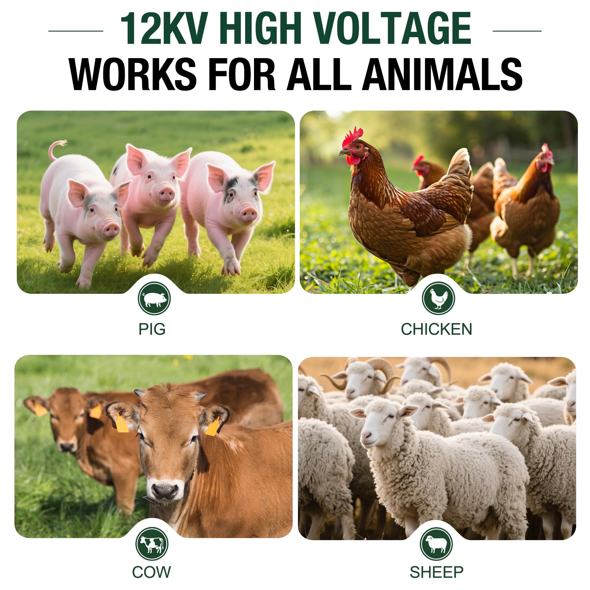 LUMIRATE protecting cattle and pasture showing reliable livestock control