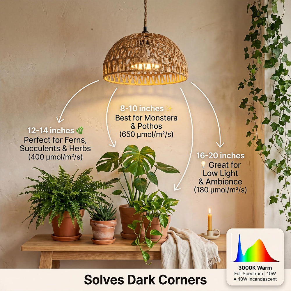 Lumivere installed over plant shelf providing targeted supplemental light