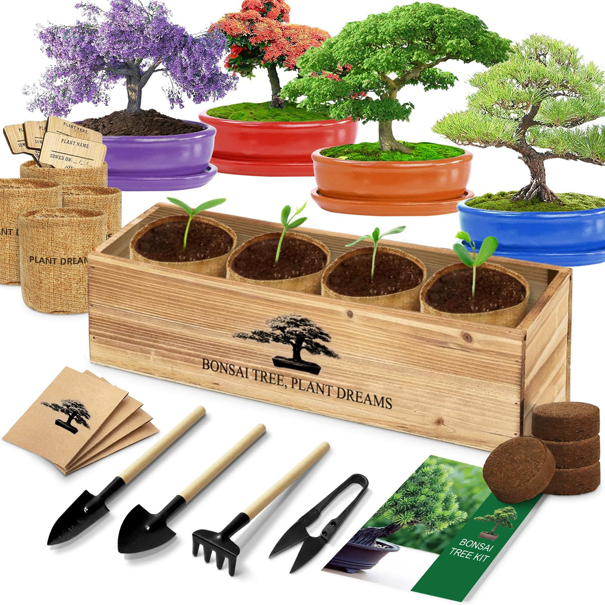 LUOJIBIE kit box front view showing complete bonsai starter set benefits