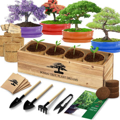 LUOJIBIE kit box front view showing complete bonsai starter set benefits