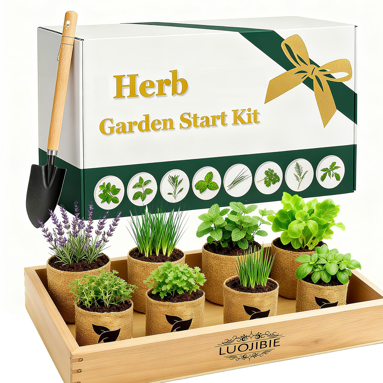 LUOJIBIE front packaging shot showing complete kit and gift-ready design