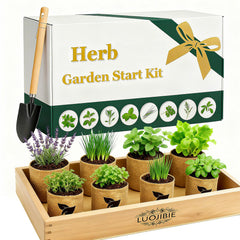 LUOJIBIE front packaging shot showing complete kit and gift-ready design