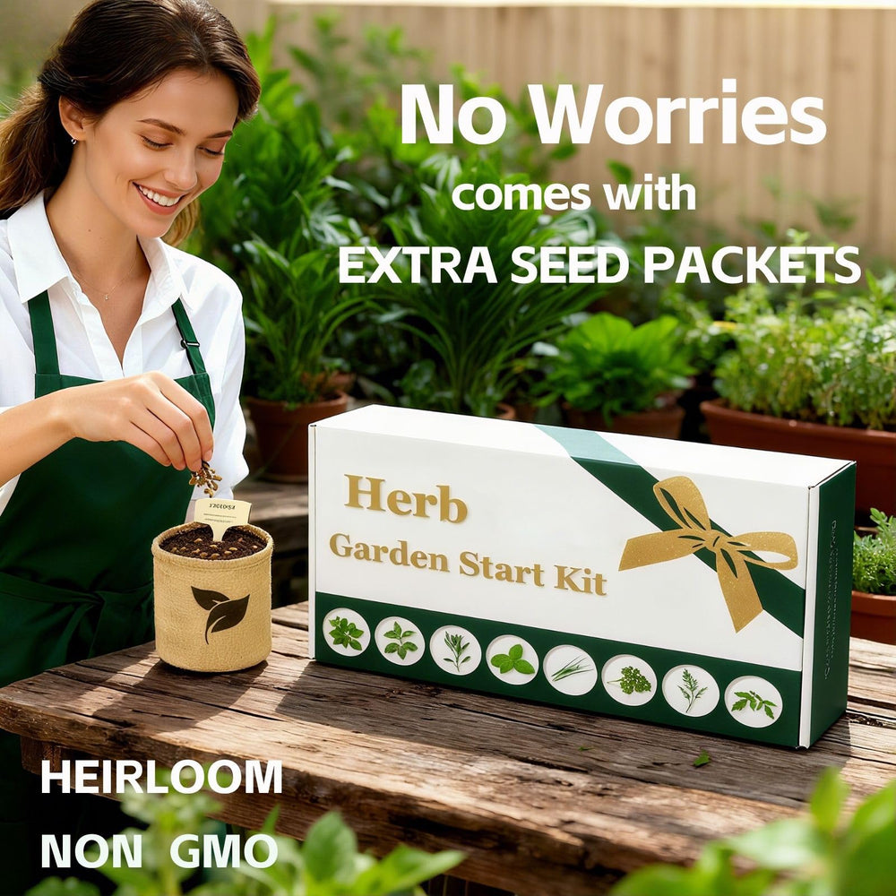 LUOJIBIE kit in use on a sunny windowsill illustrating fresh herbs at hand