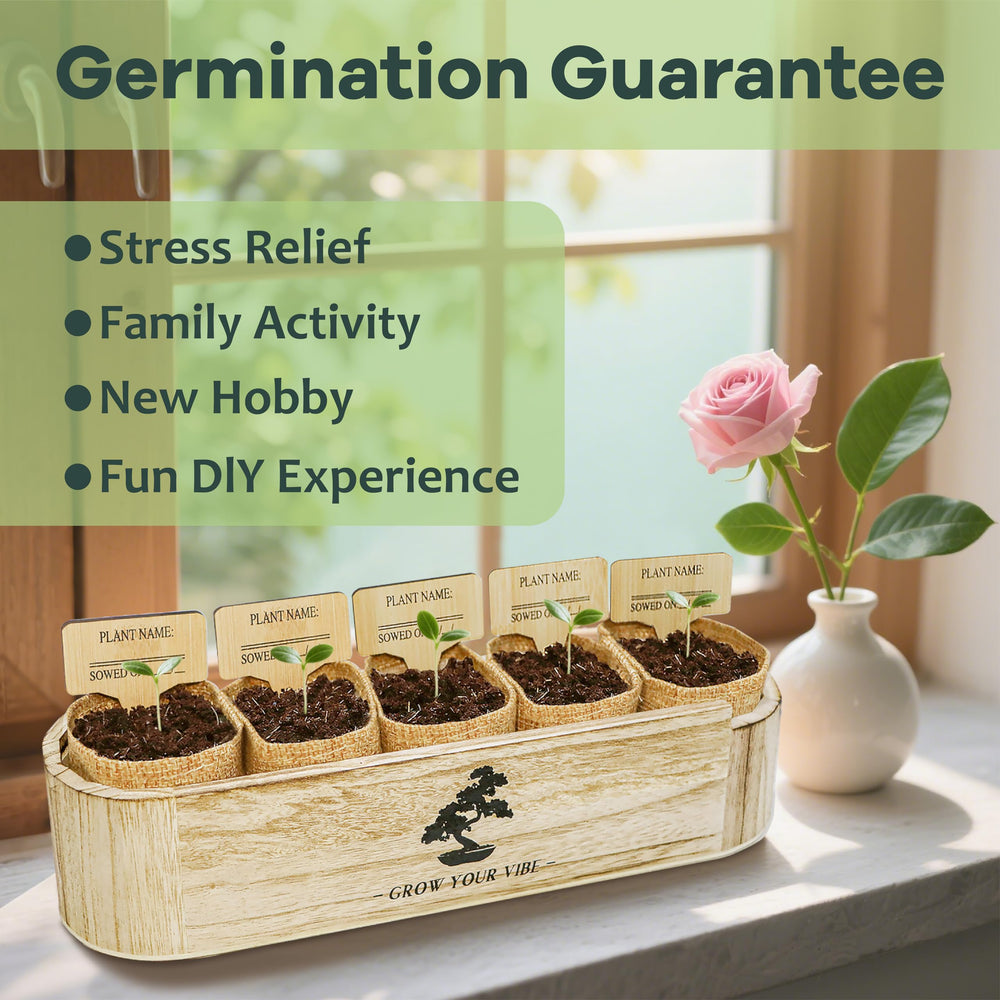 LUOJIBIE pre-fertilized soil texture close-up promoting easier germination