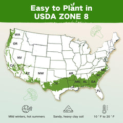 LUSH&DEW acrylic container close-up protecting seed packets and preventing moisture