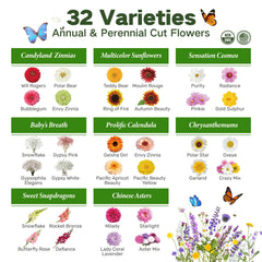 LUSH&DEW acrylic seed tubes arranged aesthetically, helping quick variety selection