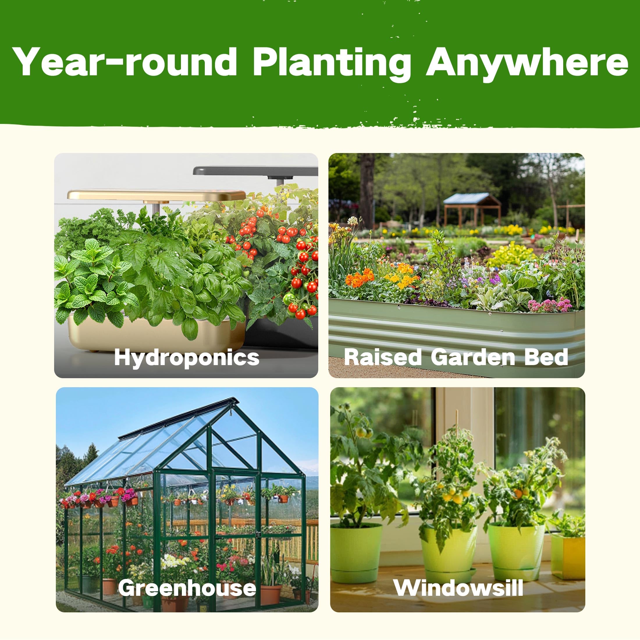 LUSH&DEW garden bed sown with several varieties showing planting results