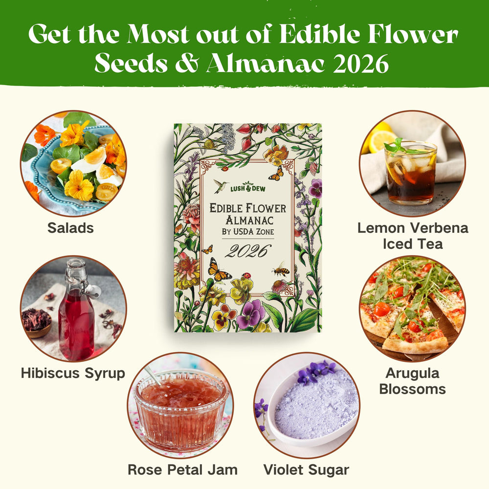 LUSH&DEWㅤ opened 2026 almanac with planting charts and culinary notes for guidance
