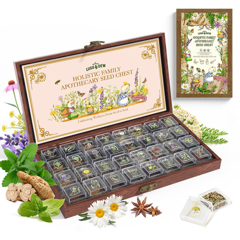 Lush&Dew apothecary chest open showing organized herb seed vials and accessibility