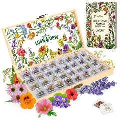 LUSH&DEWㅤ front view of open seed bank box showing organized compartments and variety