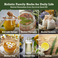 Lush&Dew loose herb seeds texture view highlighting quantity and heirloom quality