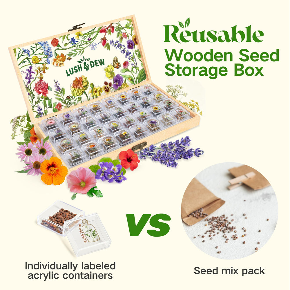 LUSH&DEWㅤ reusable storage box and seed packets highlighting organized long‑term storage