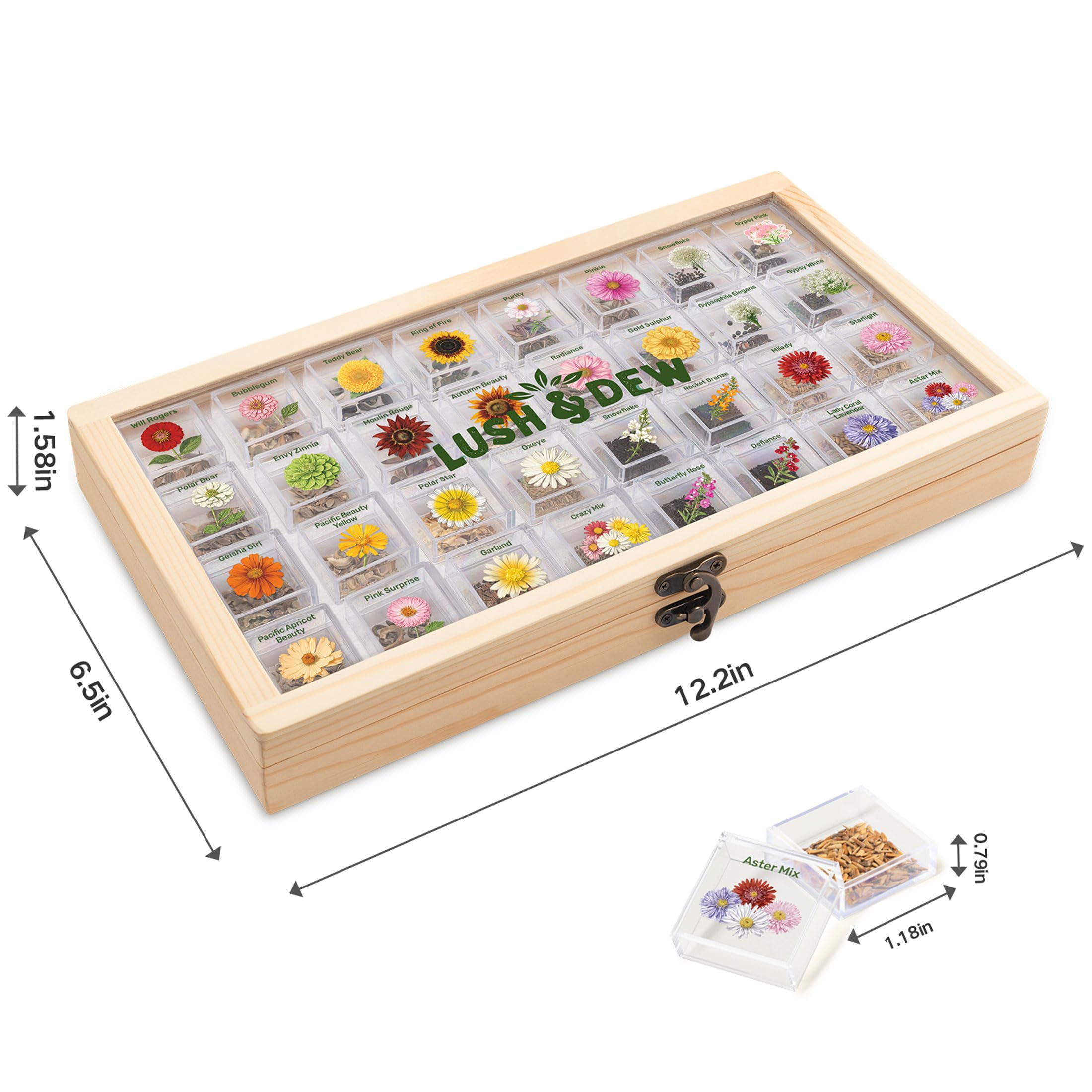 LUSH&DEW size comparison next to hand illustrating compact, travel-friendly kit