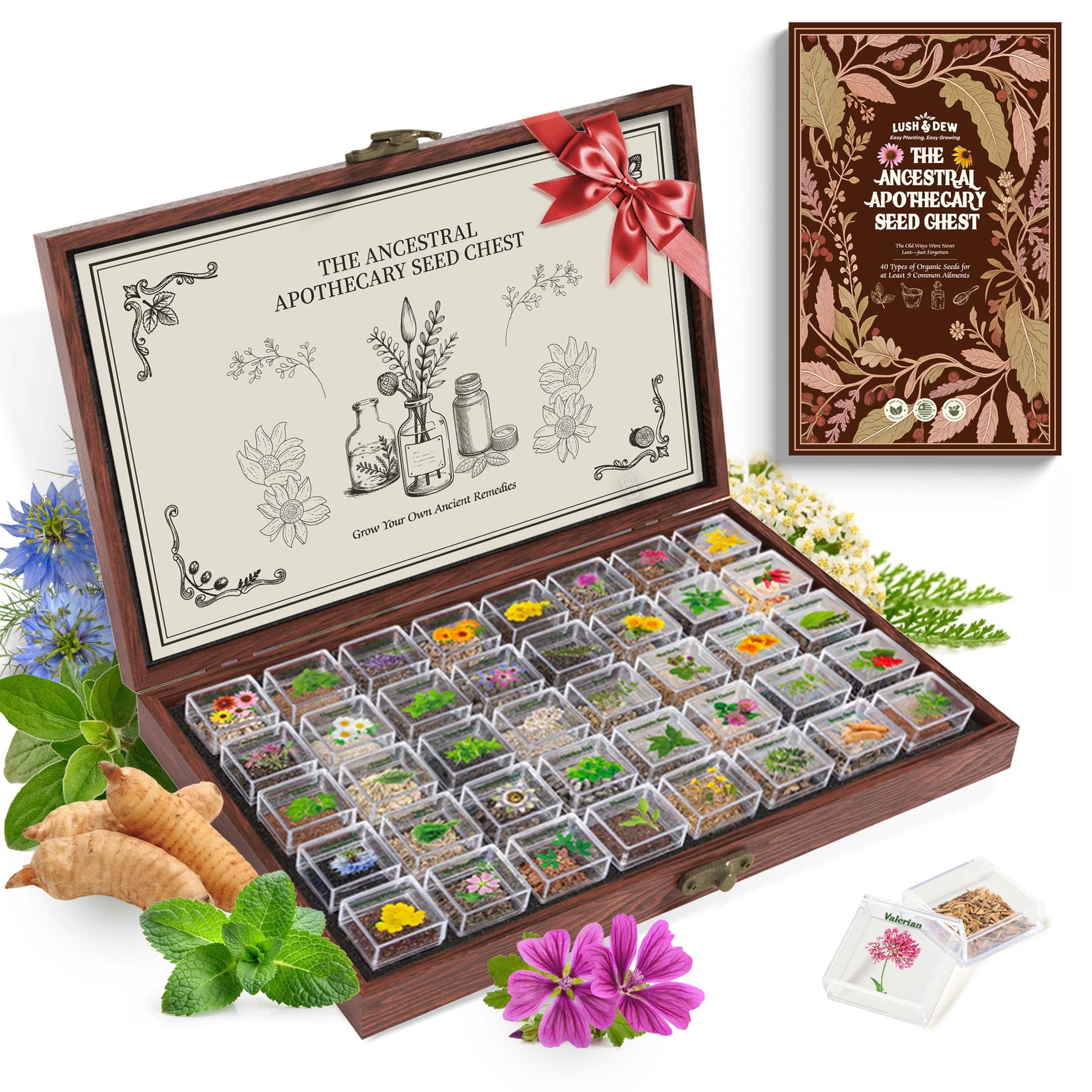LUSH&DEWㅤ front view of wooden seed chest showing gift-ready packaging and organization