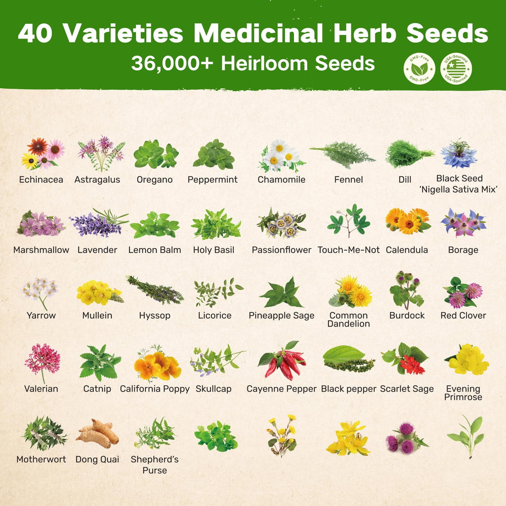 LUSH&DEWㅤ overhead of 40 labeled acrylic seed tubes organized for easy planting and planning