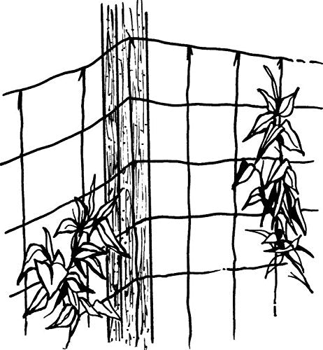 Luster Leaf trellis beside ruler showing 5x60 feet scale and coverage