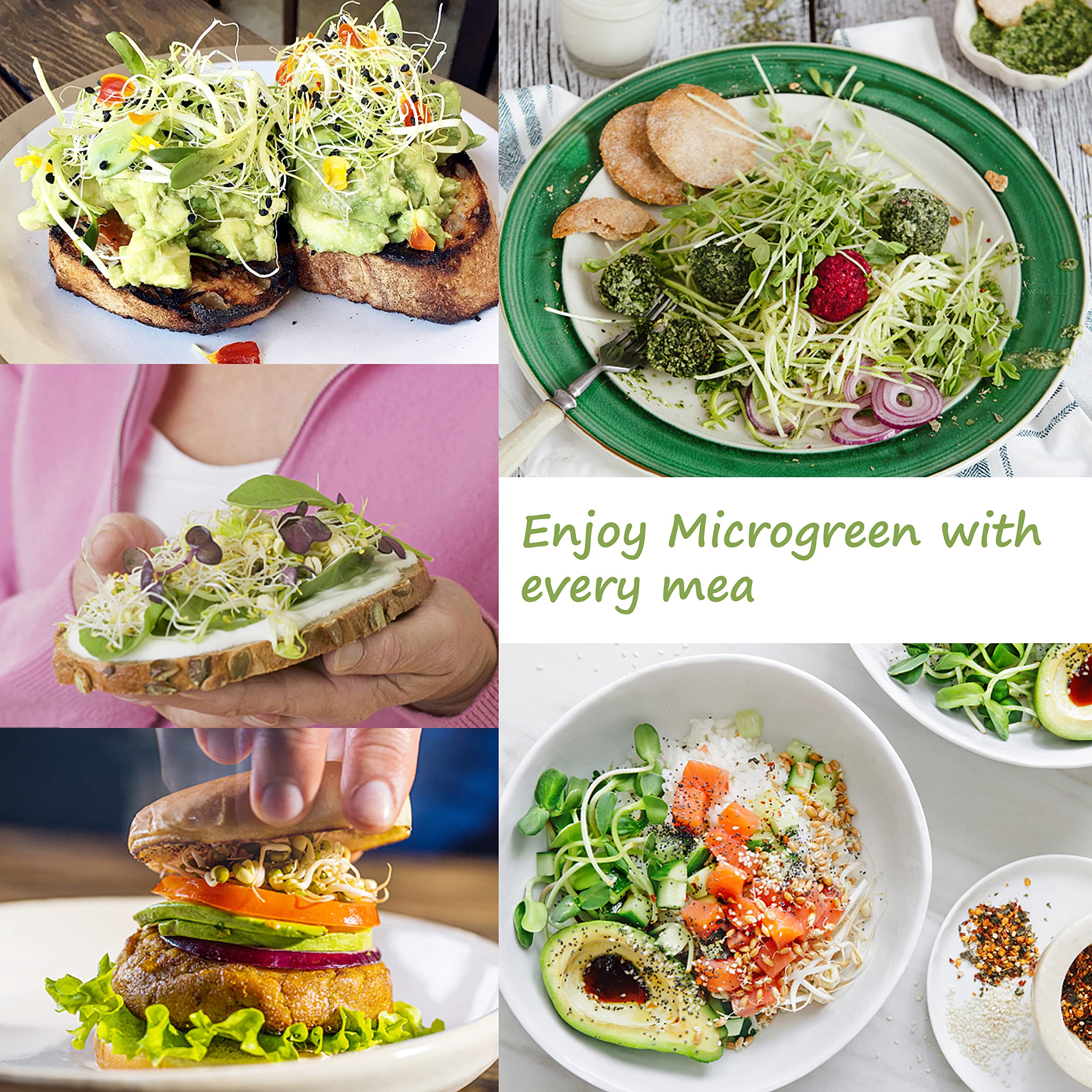 LUVCOSY sprouter kit on kitchen counter with fresh greens for everyday cooking