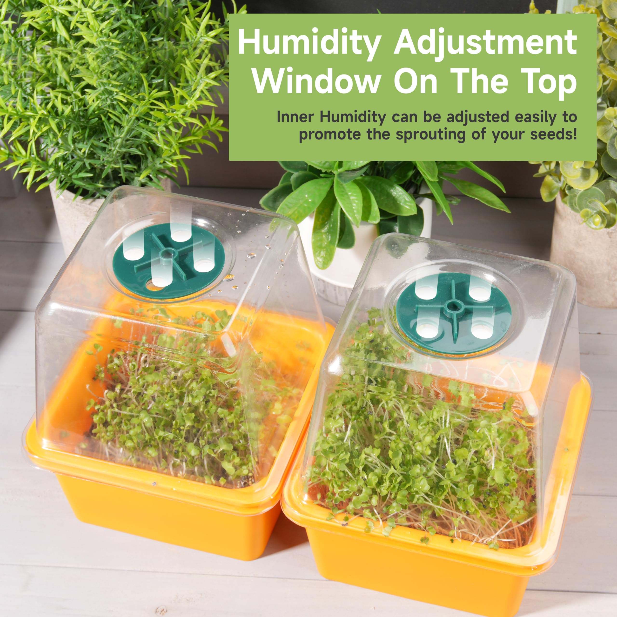 LUVCOSY trays filled with mixed microgreens illustrating quick fresh-harvest advantage