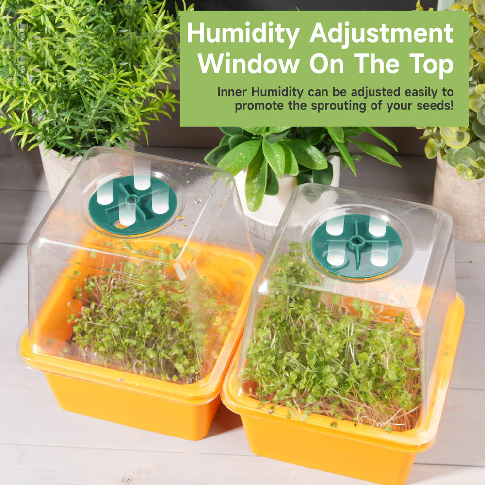 LUVCOSY trays filled with mixed microgreens illustrating quick fresh-harvest advantage