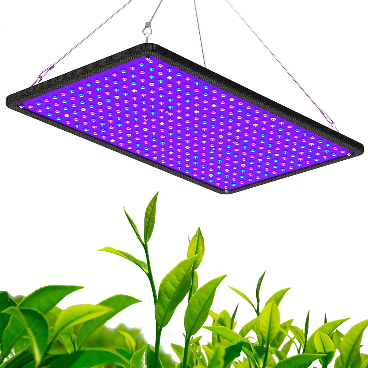 LUYIMIN front view full fixture showing coverage and uniform light benefit