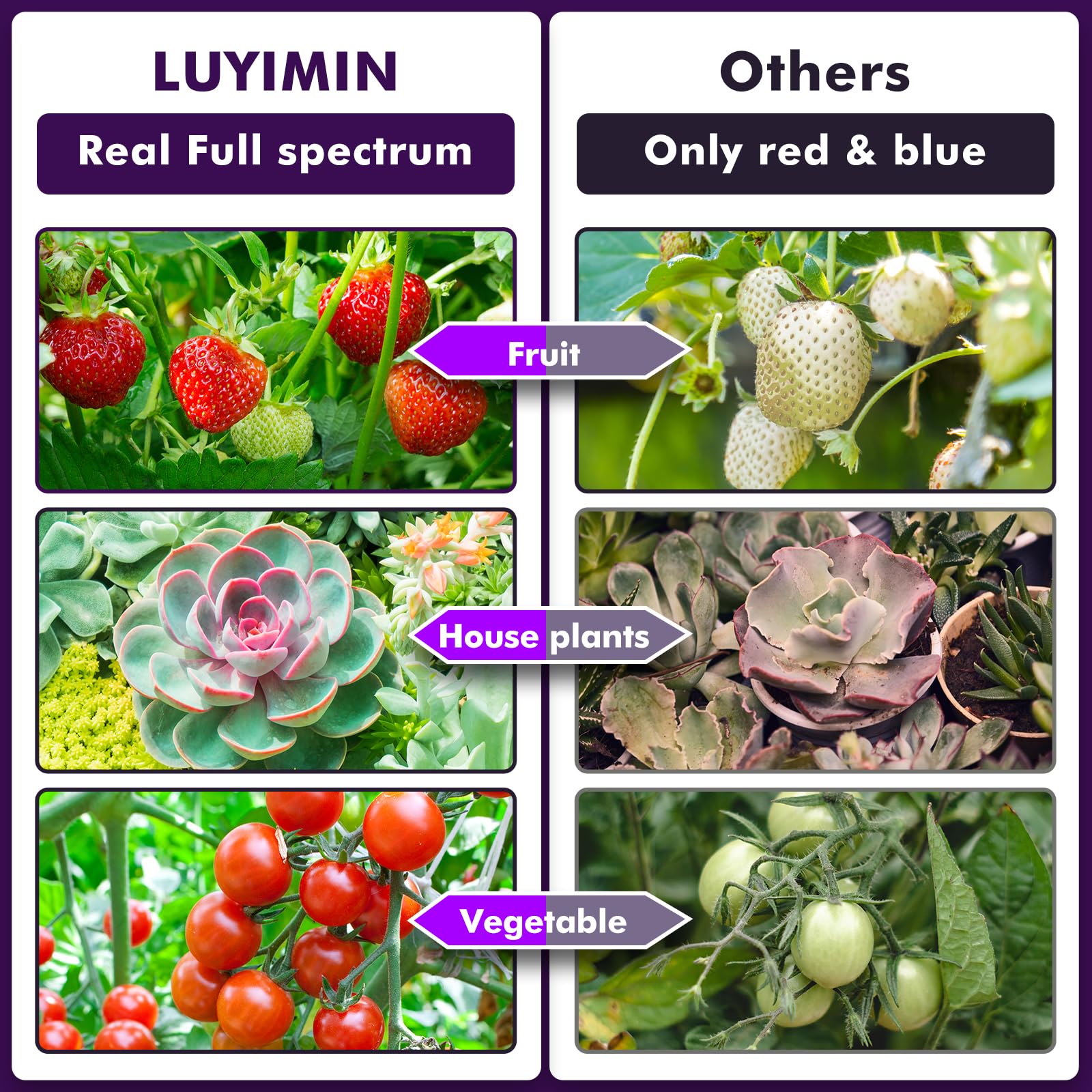 LUYIMIN installed in 3x3 grow tent demonstrating canopy coverage benefit