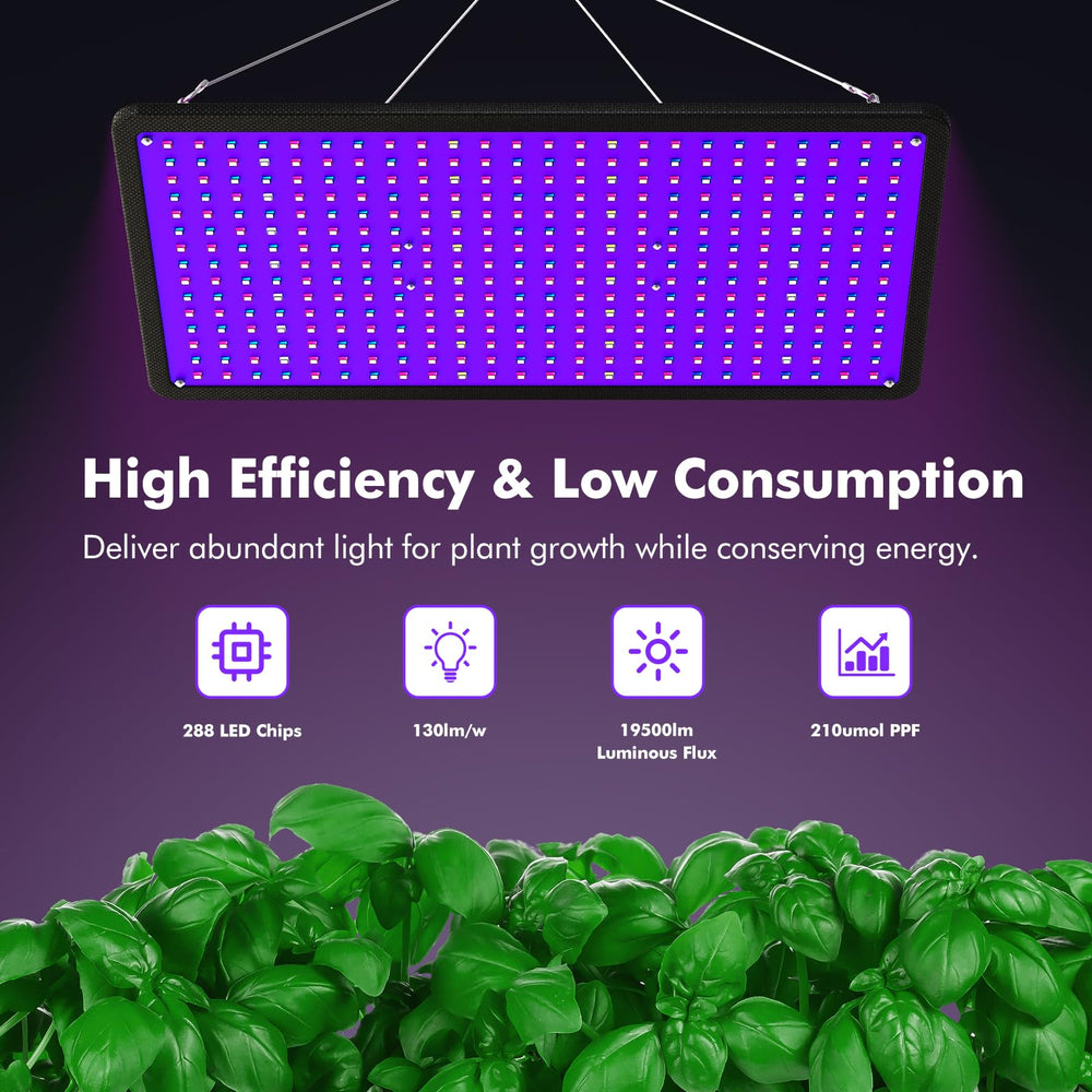 LUYIMIN LED array close up highlighting dense LEDs for efficient output