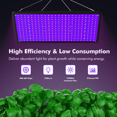 LUYIMIN LED array close up highlighting dense LEDs for efficient output