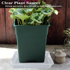 LWALRS saucer under a pot demonstrating secure fit and mess containment benefit