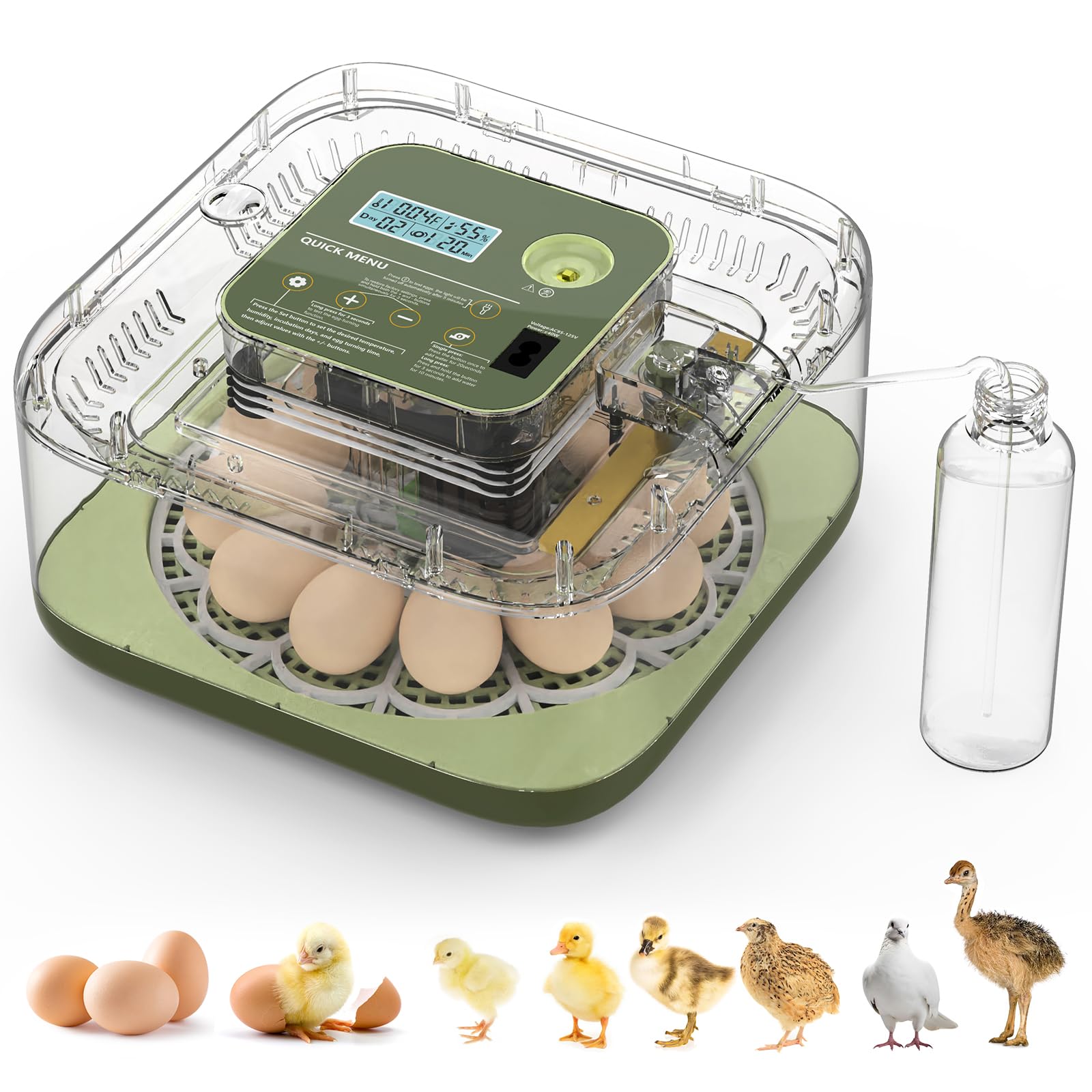 Lwlaboc front view showing eggs and compact design for easy tabletop hatching