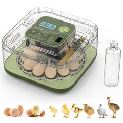 Lwlaboc front view showing eggs and compact design for easy tabletop hatching
