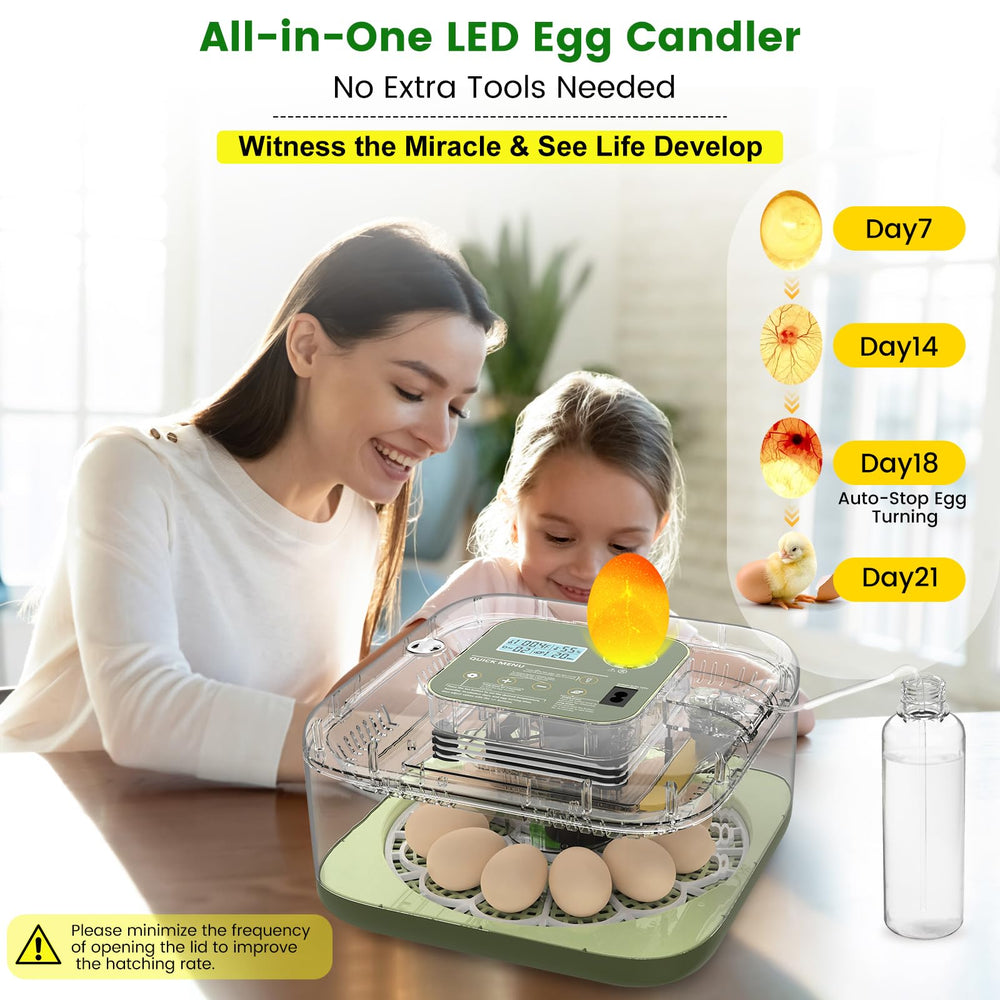 Lwlaboc LED egg candler in use revealing embryo development for guided checks