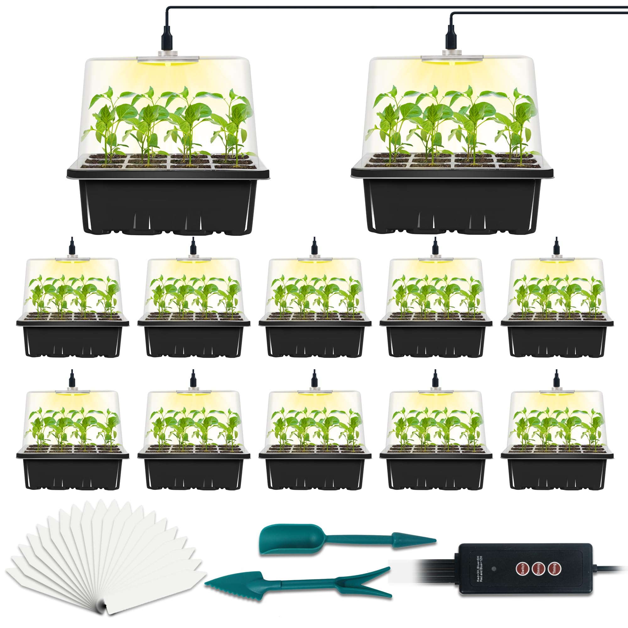 LYDTICK front view of complete seed starter kit with neat organization benefit