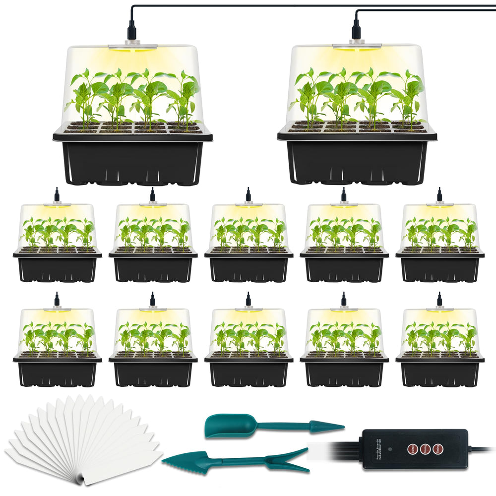 LYDTICK front view of complete seed starter kit with neat organization benefit