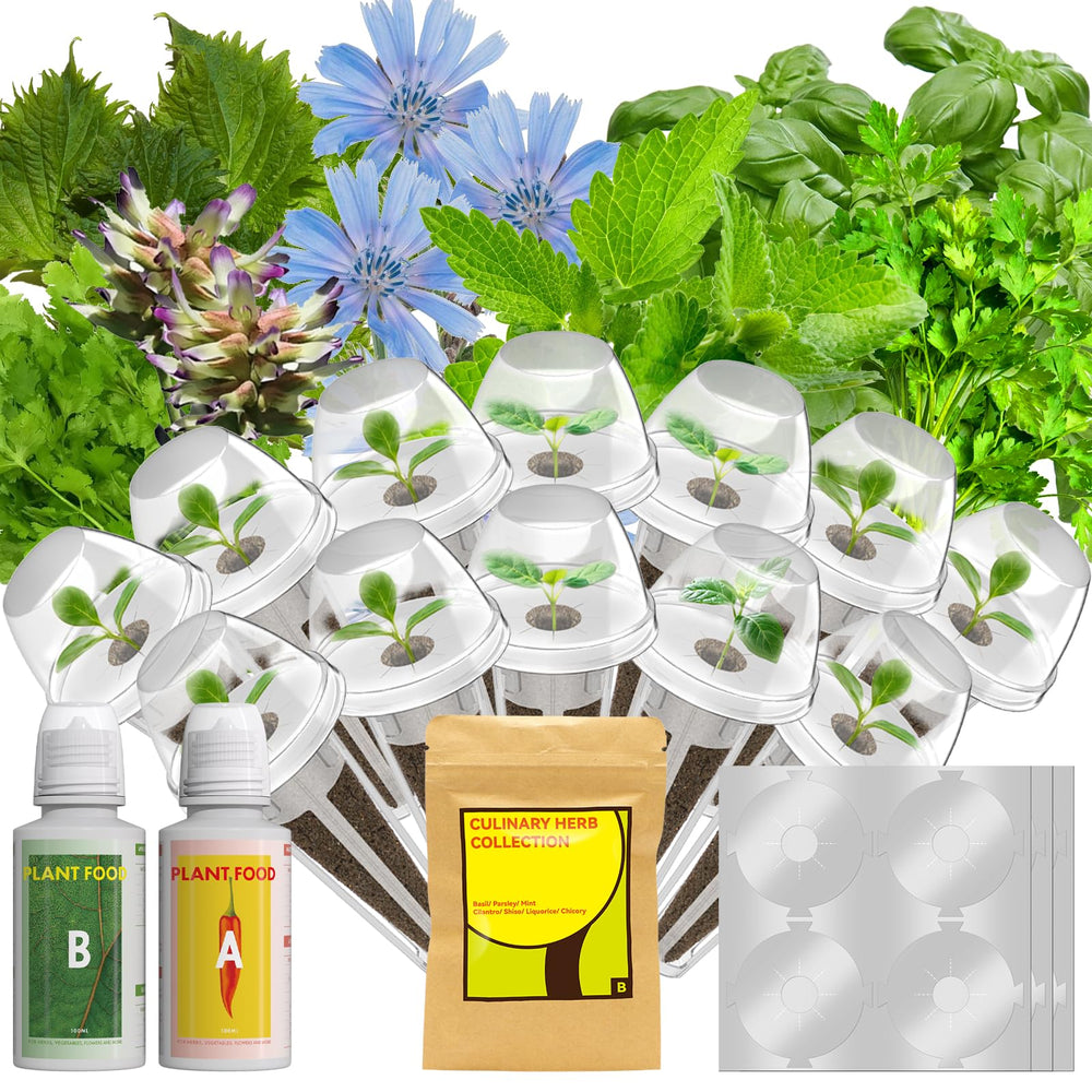 LYKOCLEAN front packaging of 12 pod herb kit showing included components and benefit of ready setup