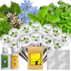 LYKOCLEAN front packaging of 12 pod herb kit showing included components and benefit of ready setup