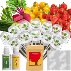 LYKOCLEAN front packaging showing complete hydroponic fruit seed kit benefits