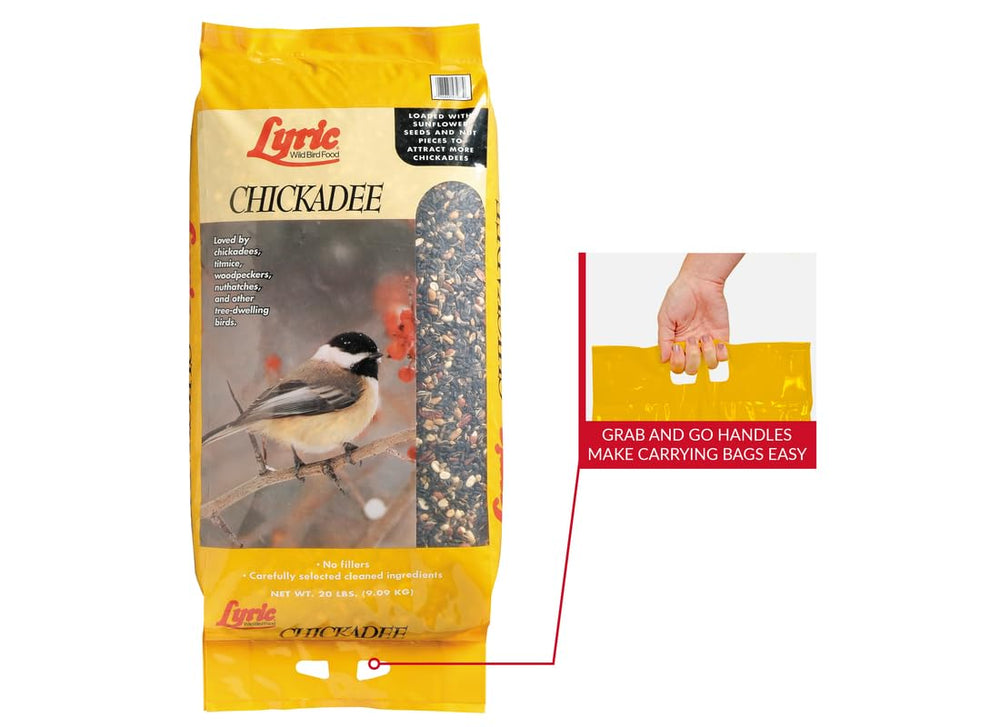 Lyric mix in hanging bowl feeder attracting birds and easy access