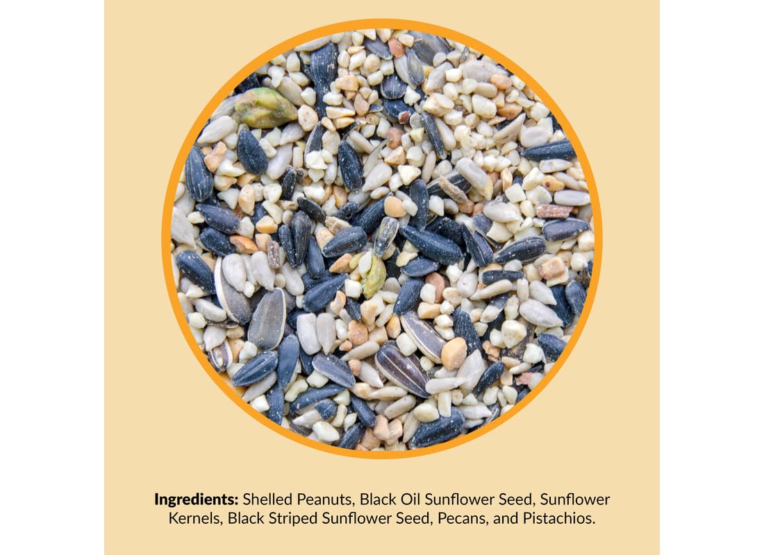 Lyric product label close-up showing ingredients and no-fillers claim