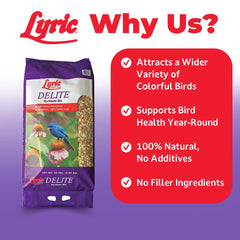Lyric Delite close-up of shelled kernels and nuts for high-protein feed