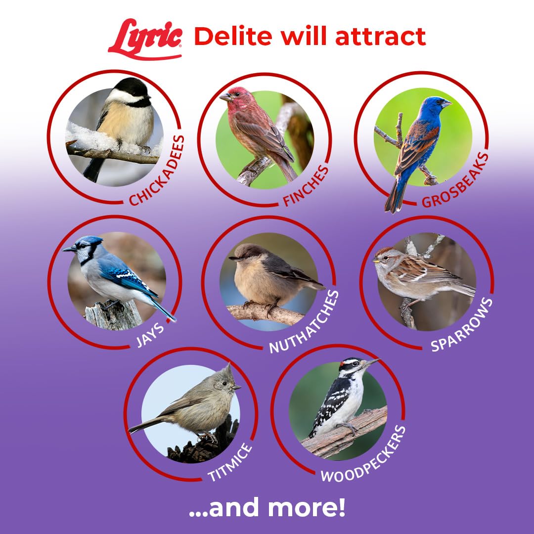 Lyric Delite in a covered tray feeder demonstrating clog-free feeding
