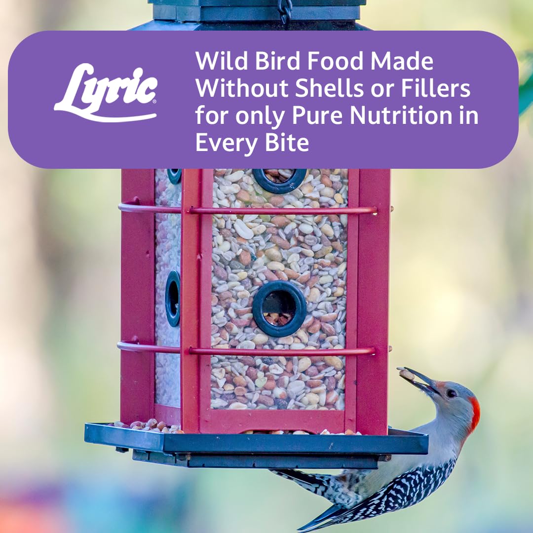 Lyric Delite feeder in backyard setting encouraging birdwatching enjoyment
