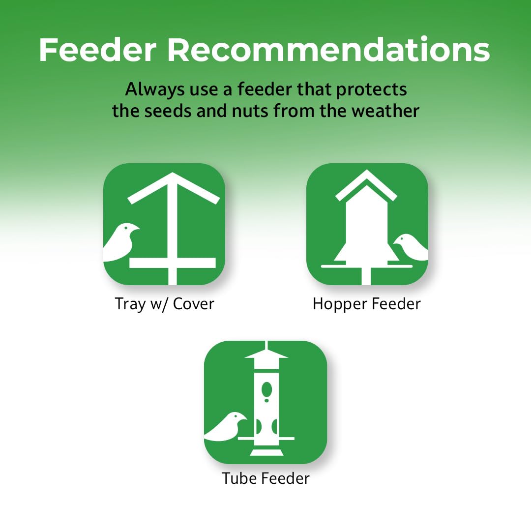 Lyric mix drawing colorful songbirds feeding on feeder