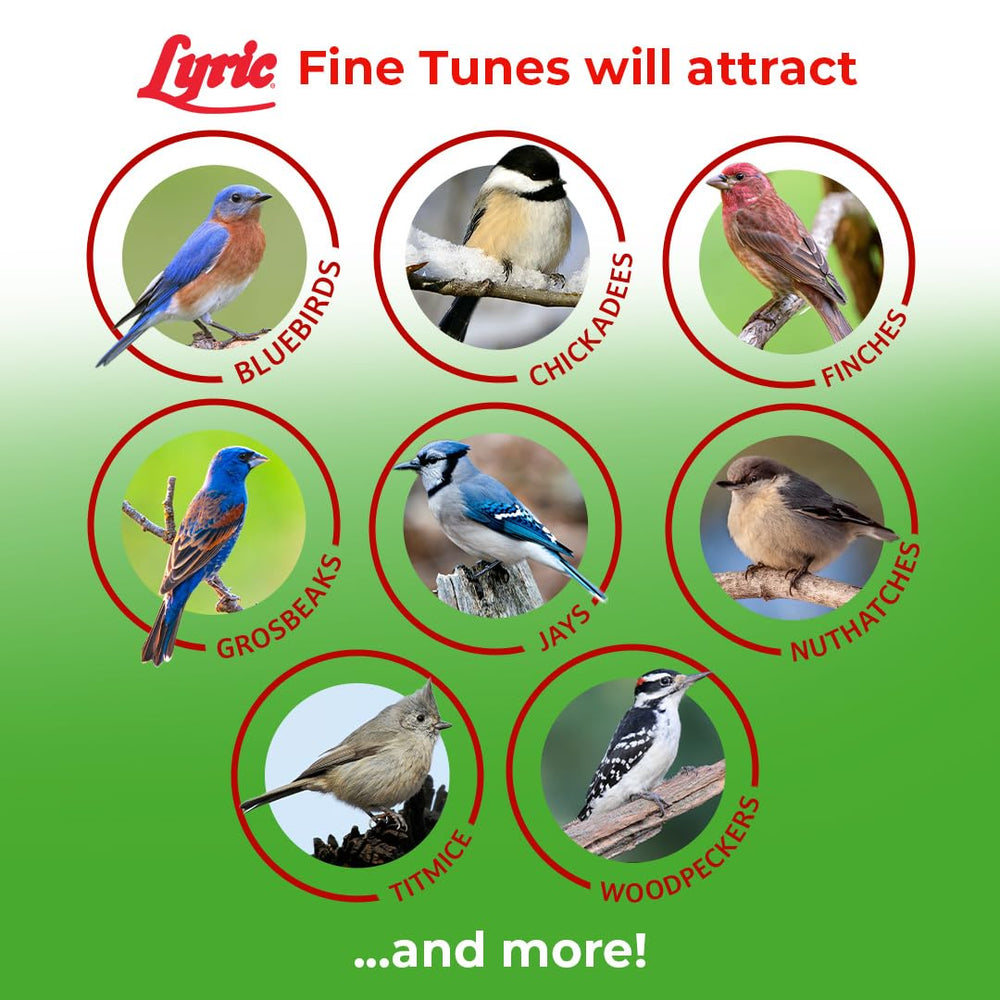 Lyric seed poured into a tube feeder attracting small birds