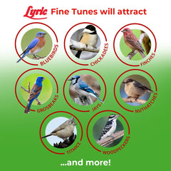 Lyric seed poured into a tube feeder attracting small birds