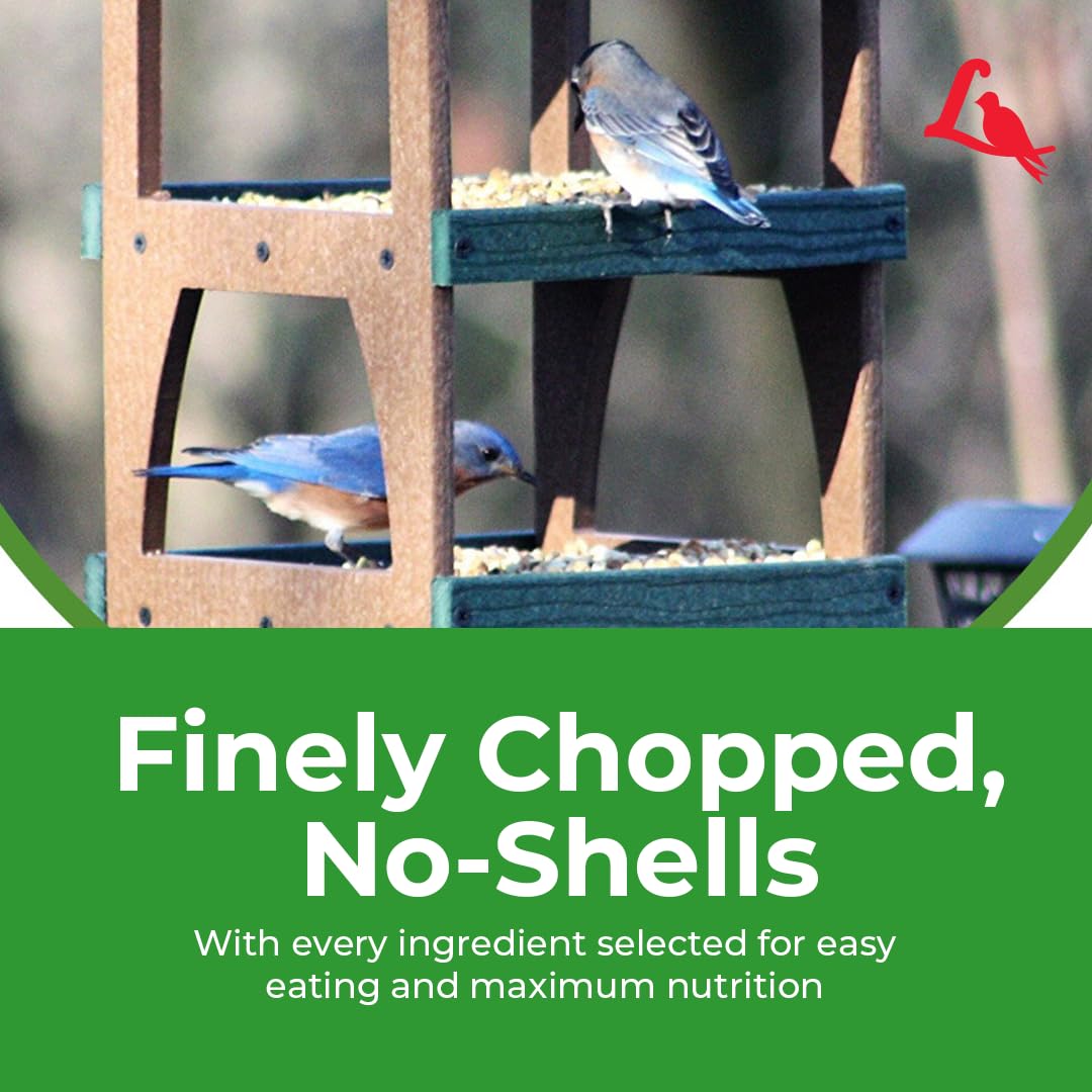 Lyric product label and ingredients list visible for shopper clarity