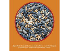 Lyric closeup of mixed seeds showing texture and high‑energy content