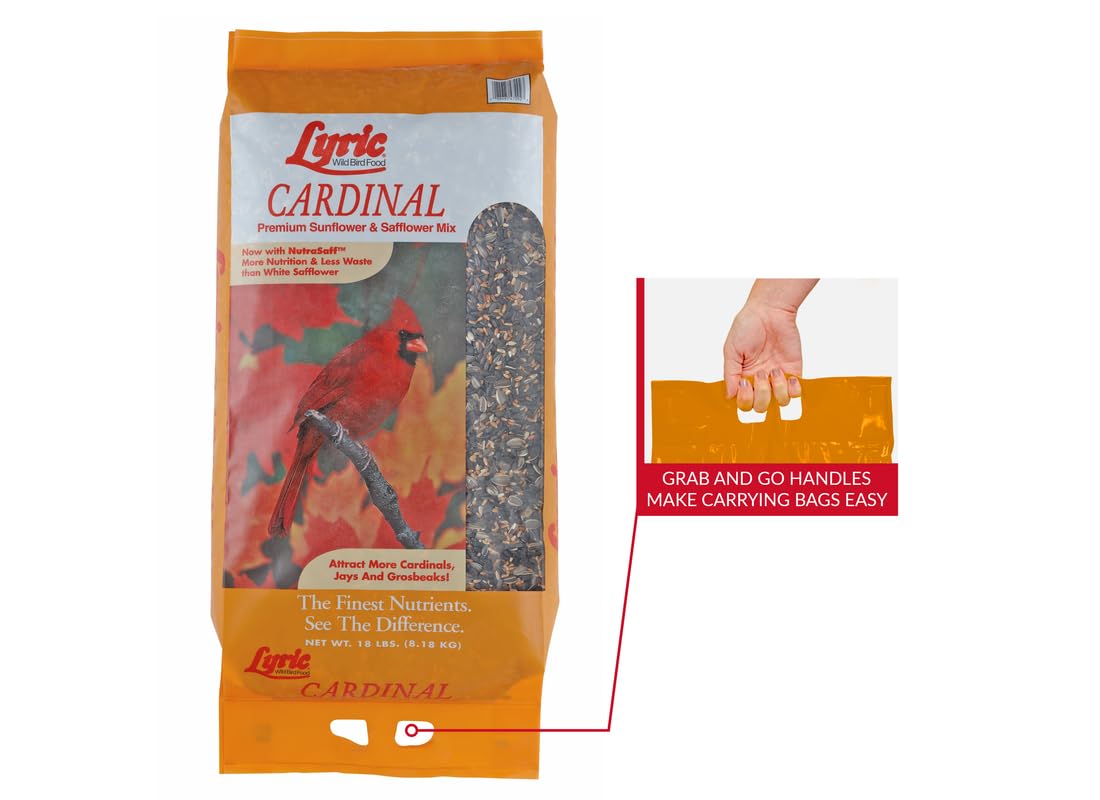 Lyric sunflower kernels detail highlighting premium seed quality