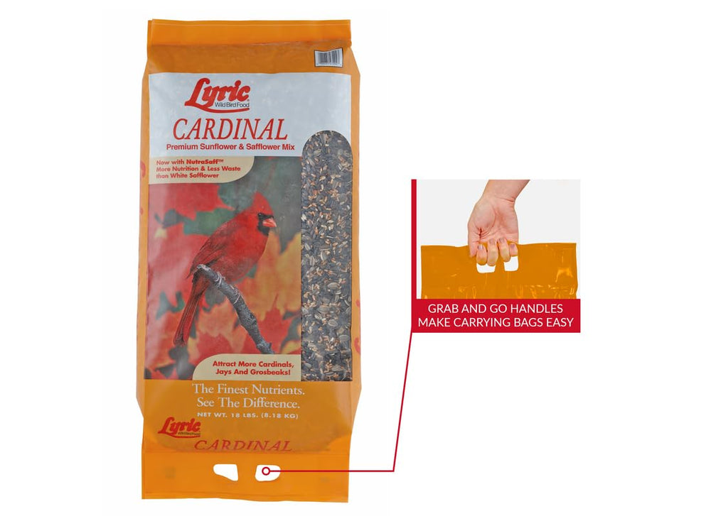 Lyric sunflower kernels detail highlighting premium seed quality